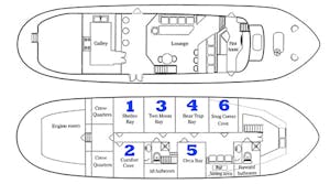 Discovery deckplan with Cheesemans’ Ecology Safaris