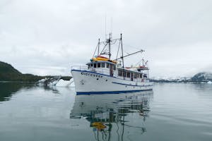 Discovery ship photo by Heather McFarland