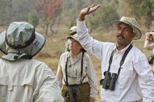 Birding in India photo by Cheesemans’ Ecology Safaris