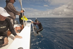 Boarding the tender photo by Cheesemans’ Ecology Safaris