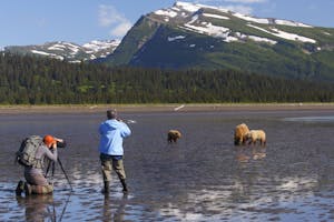 Brown Bear family photo by Ron Niebrugge with Cheesemans' Ecology Safaris