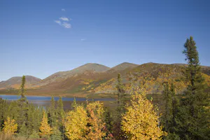 Southern Brooks Range photo by Hugh Rose with Cheesemans' Ecology Safaris