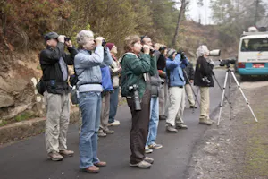 Birding in Bhutan photo by Cheesemans' Ecology Safaris