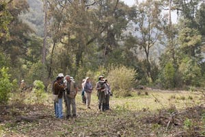 Birding in Bhutan's forests photo by Debbie Thompson with Cheesemans' Ecology Safaris