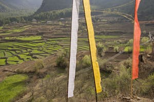 Paro Valley in Bhutan photo by Debbie Thompson with Cheesemans' Ecology Safaris