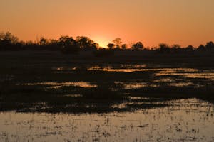 Sunset over the Okavango Delta photo by Debbie Thompson