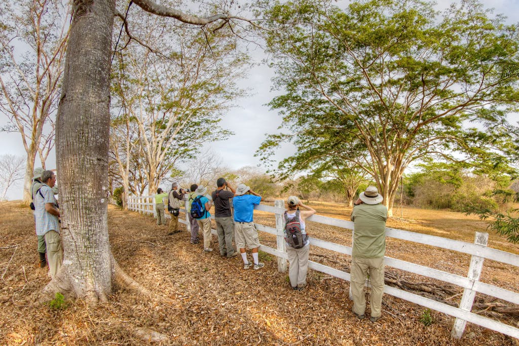 Ensenada Lodge © Marc Lombardi