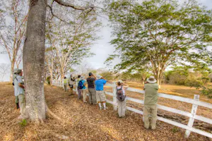 Ensenada Lodge © Marc Lombardi