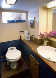 Discovery bathroom with Cheesemans’ Ecology Safaris