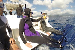 Getting ready to snorkel with Sperm Whales photo by Cheesemans’ Ecology Safaris