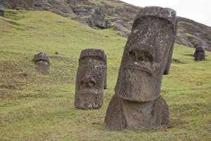 Puna Pau © Cheesemans’ Ecology Safaris