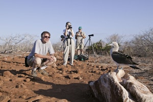 Blue-footed Booby photo by Cheesemans’ Ecology Safaris