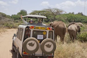 African Elephants photo by Cheesemans’ Ecology Safaris