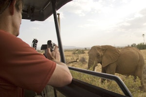 Photographing African Elephants photo by Cheesemans’ Ecology Safaris