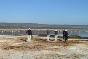 Flamingos at Lake Nakuru photo by Cheesemans’ Ecology Safaris