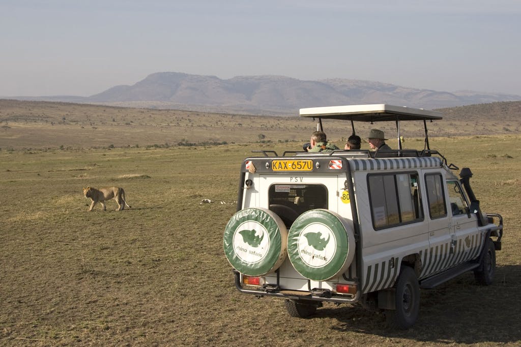 Watching a Lion in the Mara Triangle photo by Cheesemans’ Ecology Safaris