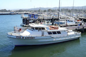 Star of Monterey photo