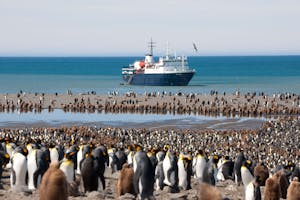 Ortelius ship photo by Cheesemans’ Ecology Safaris