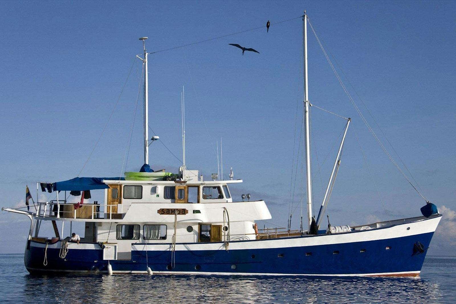 Samba with Cheesemans’ Ecology Safaris