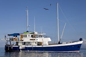 Samba with Cheesemans’ Ecology Safaris