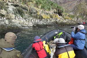 Cooper Bay, South Georgia Island photo by Cheesemans’ Ecology Safaris