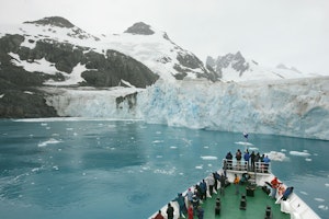 Risting Glacier in Drygalski Fjord, South Georgia Island photo by Cheesemans’ Ecology Safaris