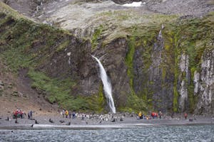 Hercules Bay, South Georgia Island photo by Cheesemans’ Ecology Safaris