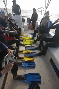 Tender boat - Turks & Caicos Explorer II photo by Cheesemans’ Ecology Safaris