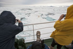 Photographing a Polar Bear photo by Cheesemans’ Ecology Safaris