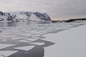 Sea ice photo by Cheesemans’ Ecology Safaris