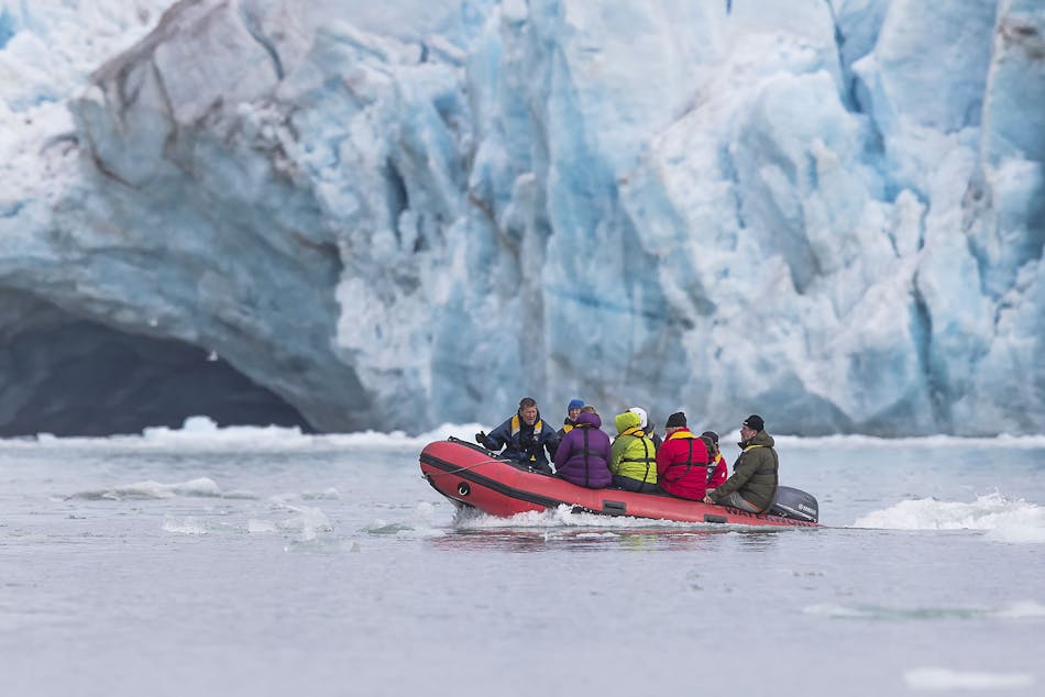 Arctic Tours - Cheesemans Ecology Safaris