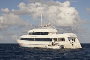 Ship Turks & Caicos Explorer II with Cheesemans’ Ecology Safaris