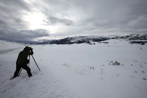 Lamar Valley in Yellowstone National Park photo by Cheesemans’ Ecology Safaris