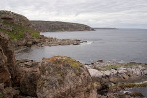 Cape du Couedic, Flinders Chase National Park , Kangaroo Island. Photo by Debbie Thompson with Cheesemans' Ecology Safaris.