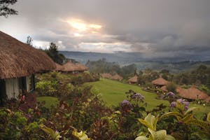 Ambua Lodge on Papua New Guinea with Cheesemans’ Ecology Safaris