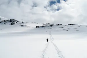 Exploring the beauty of South Georgia Island photo by Cheesemans’ Ecology Safaris