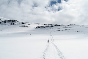 Exploring the beauty of South Georgia Island photo by Cheesemans’ Ecology Safaris
