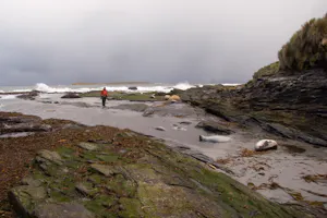 Sea Lion Island in the Falkland Islands photo by Debbie Thompson