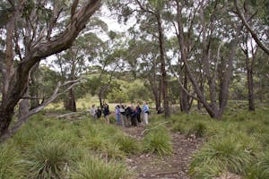 Wildlife watching photo by Debbie Thompson with Cheesemans' Ecology Safaris