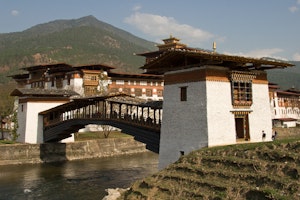 Punakha Dzong photo by Debbie Thompson with Cheesemans' Ecology Safaris