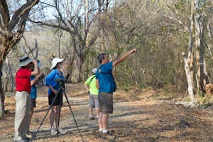Birding near La Ensenada Lodge, Costa Rica, photo by Debbie Thompson