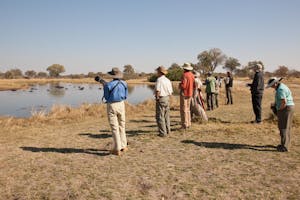 Watching hippos with Cheesemans' Ecology Safaris
