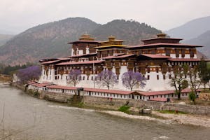 Punakha Dzong in Bhutan springtime photo with Cheesemans' Ecology Safaris
