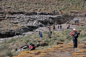 New Island part of the Falkland Islands with Cheesemans' Ecology Safaris