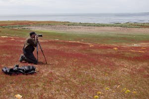 Steeple Jason Island, Falkland Islands with Cheesemans' Ecology Safaris