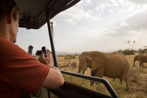 African Elephant photo by Debbie Thompson with Cheesemans' Ecology Safaris