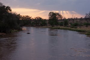Tanzania sunset with Cheesemans’ Ecology Safaris