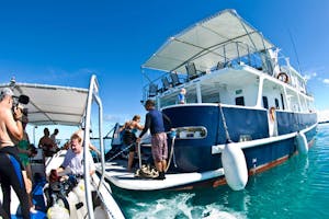 Ocean Hunter III boat photo with Cheesemans’ Ecology Safaris