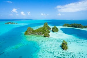 Palau Islands photo with Cheesemans’ Ecology Safaris