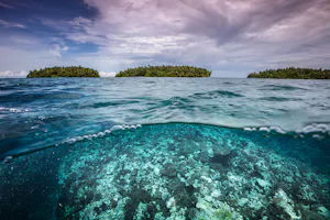 Palau Islands photo by Scott Davis with Cheesemans’ Ecology Safaris